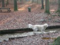 /album/fotogalerij-kira/img-0027-1-jpg/
